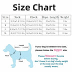 Dog Harness with 1.5m Leash Set Adjustable
