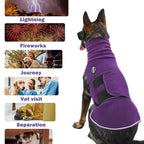 Dog wearing a purple coat with images of triggers like lightning, fireworks, and separation below.