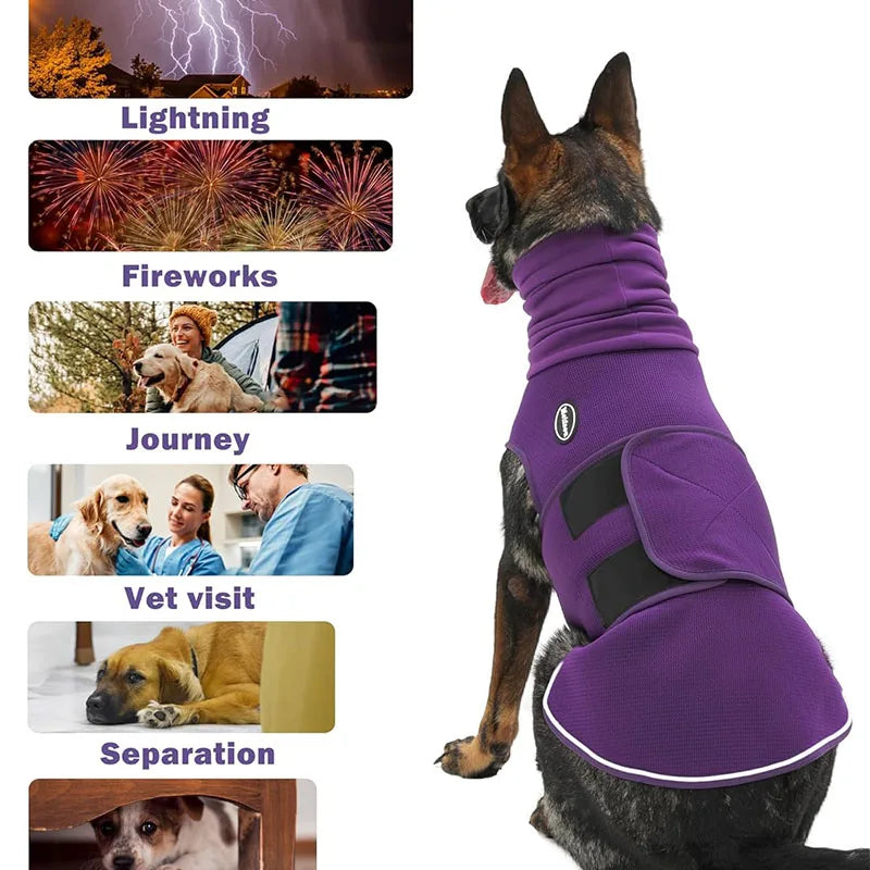 Dog wearing a purple coat with images of triggers like lightning, fireworks, and separation below.