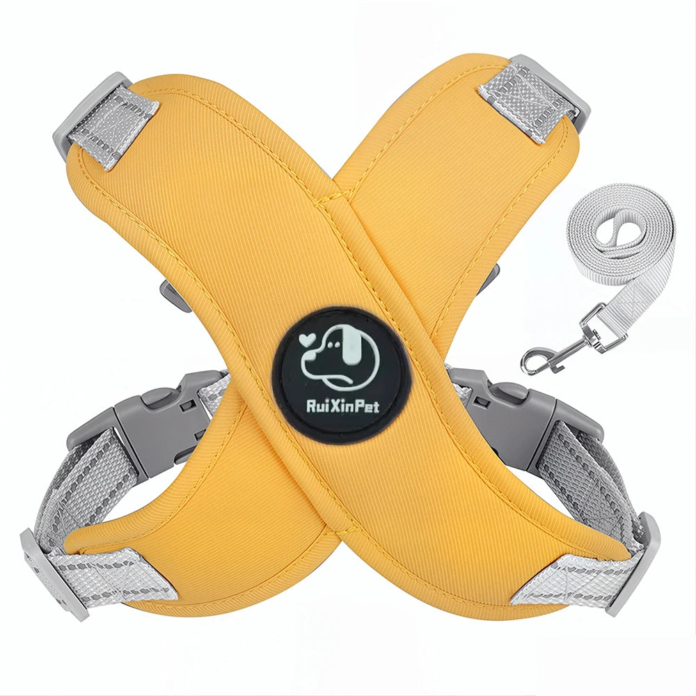 Pastel X-Shape Padded Dog Harness and Matching Leash Set