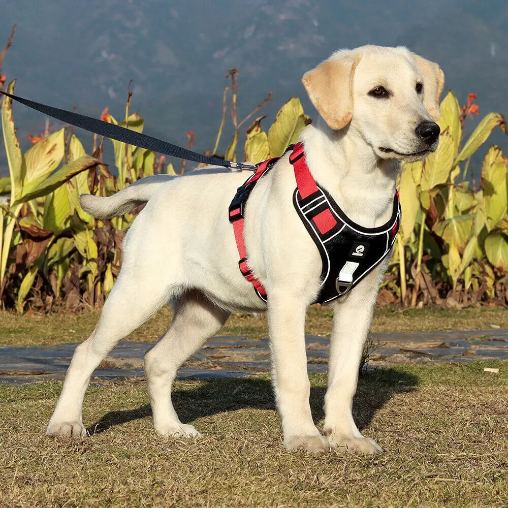 Dog Harness Medium Small Large Lead No Pull with Handle Car Coat Collar Strong