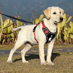 Dog Harness Medium Small Large Lead No Pull with Handle Car Coat Collar Strong