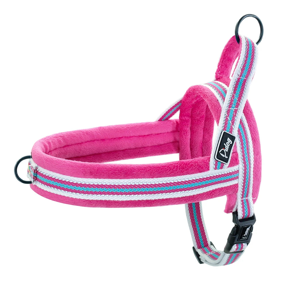The Cloud-Fit Dual-Clip Harness
