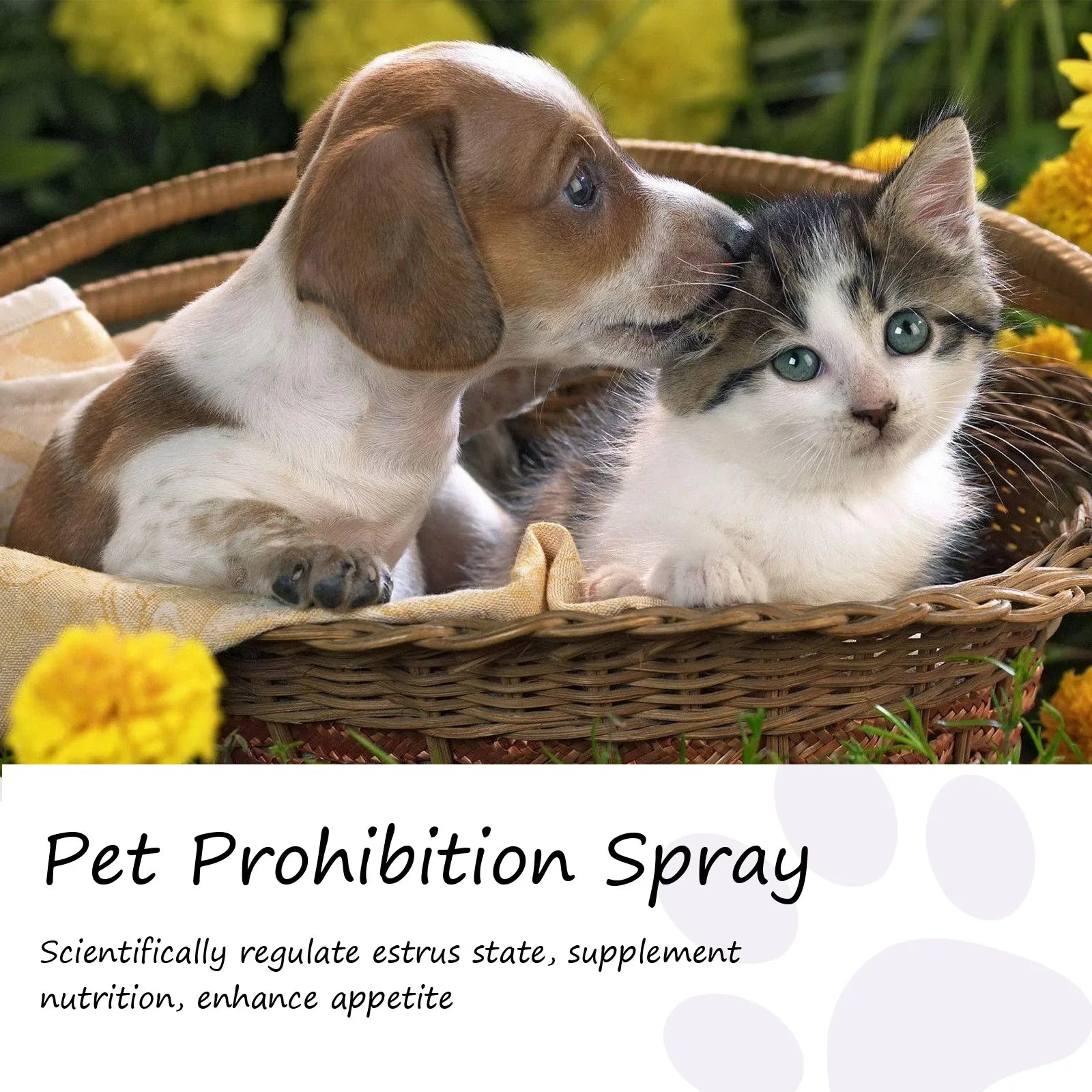 Pet Calming Spray Pheromone Diffuser for Cats Dogs