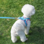 Step-In Breathable Mesh Dog Harness & Leash Set