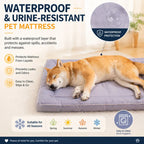 Waterproof Dog Bed Oxford Pet Cushion for All Seasons