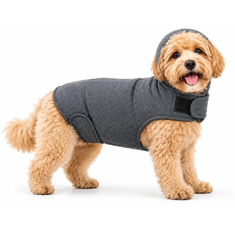 Calming Thunder Vest for Dogs The Calmer